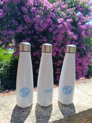 botellas térmicas